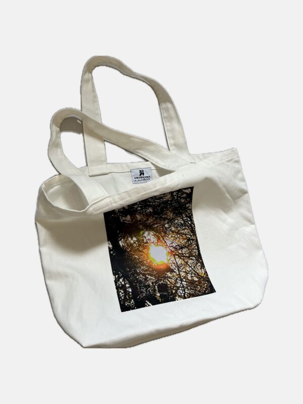 Sun Bursts Through - V Roomy Tote Bag